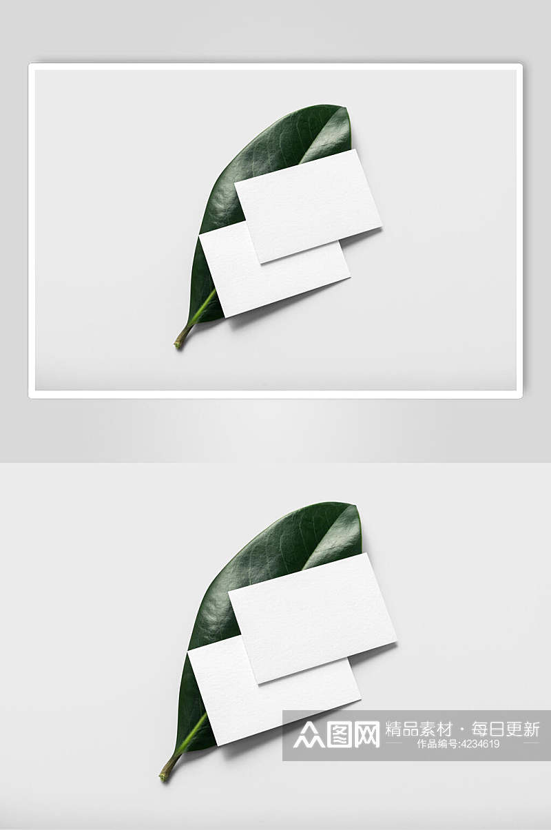 叶子纸张大气极简绿白名片信封样机素材