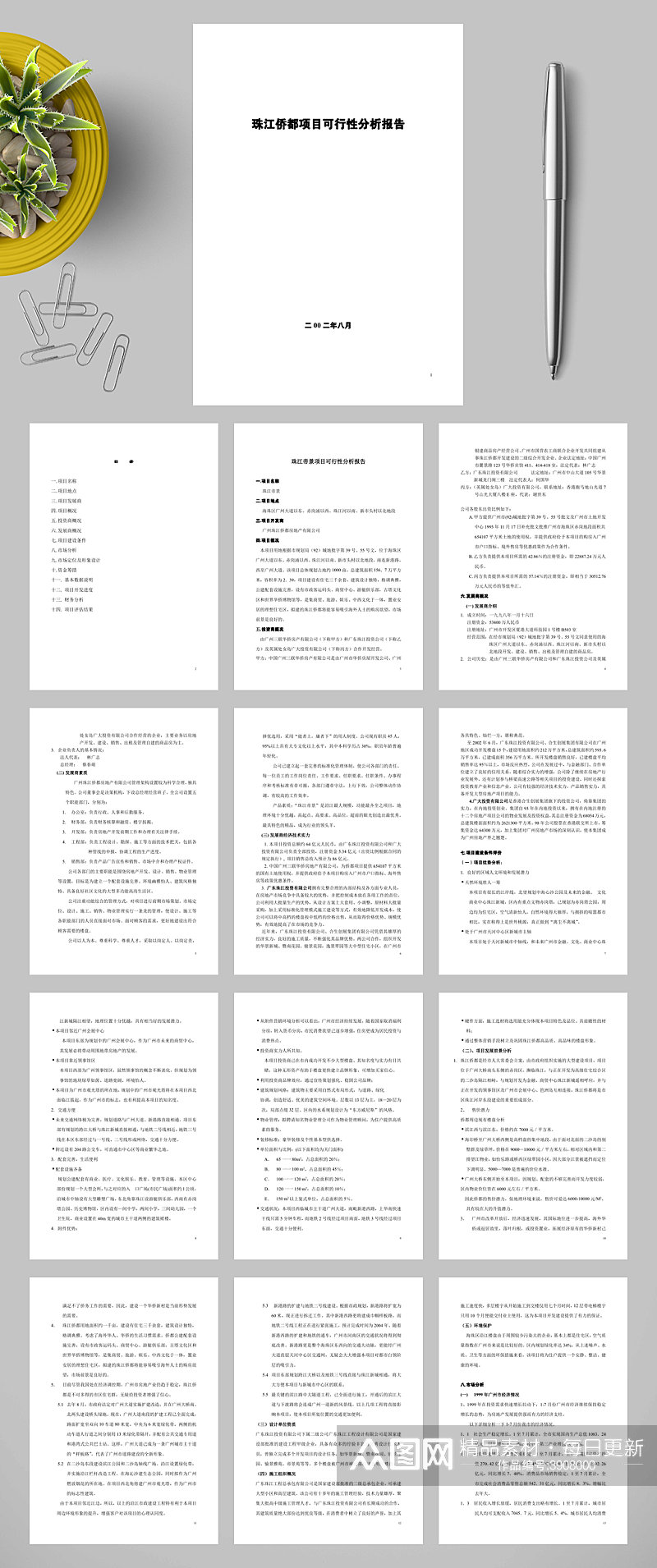 珠江侨都项目可行性分析报告WORD素材