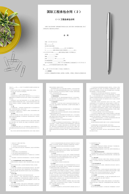 国际工程承包合同工程总承包合同WORD-众图网