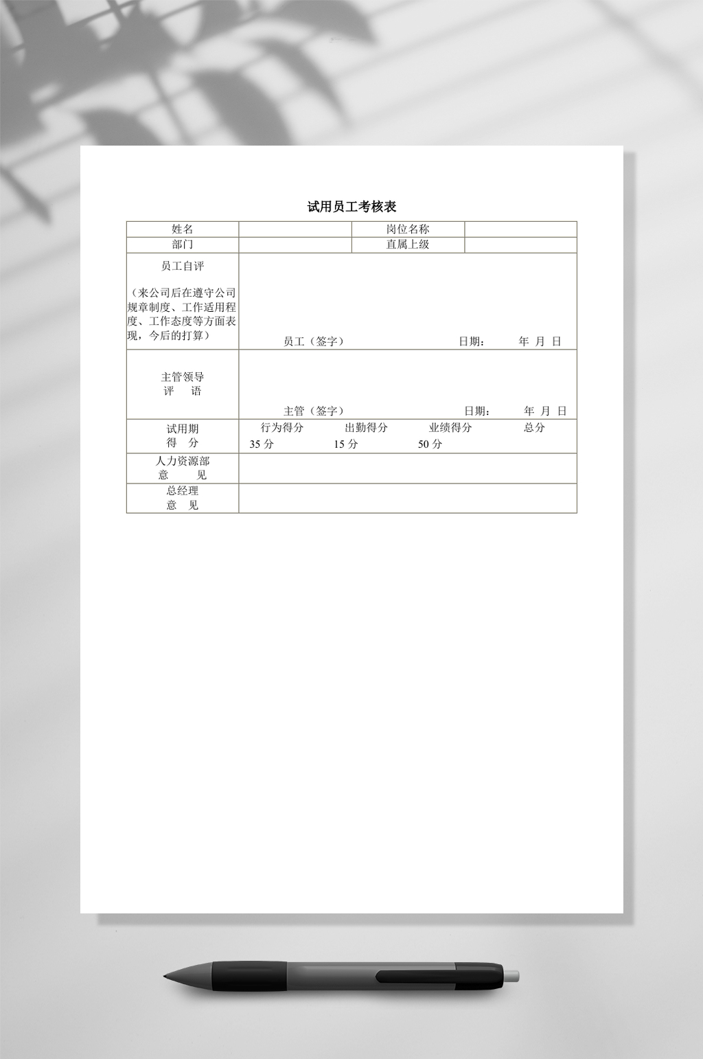 简约试用员工考核表WORD素材