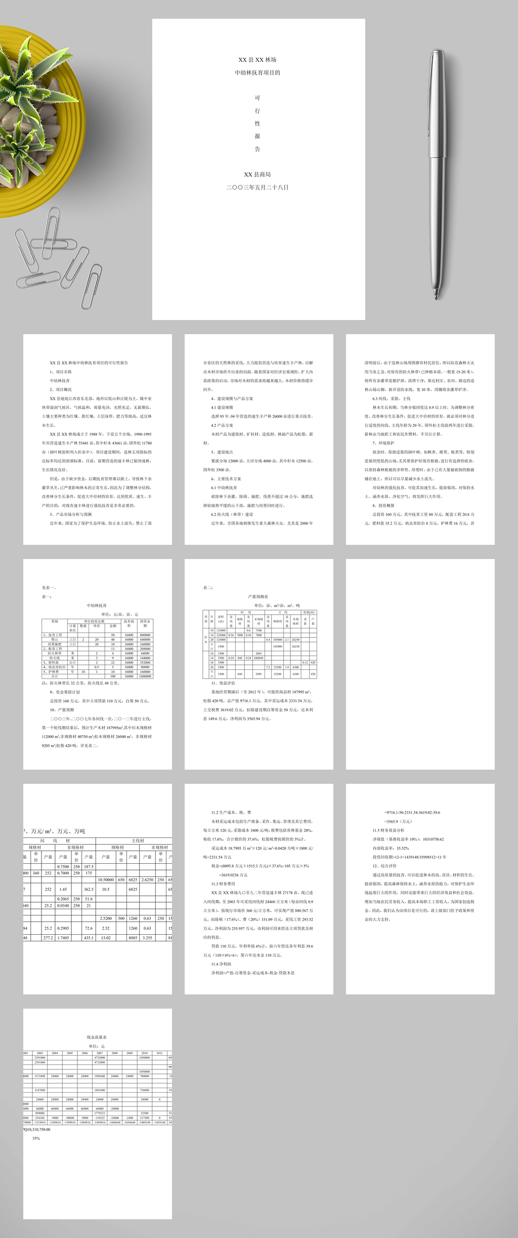 中幼林抚育项目可行性报告WORD素材