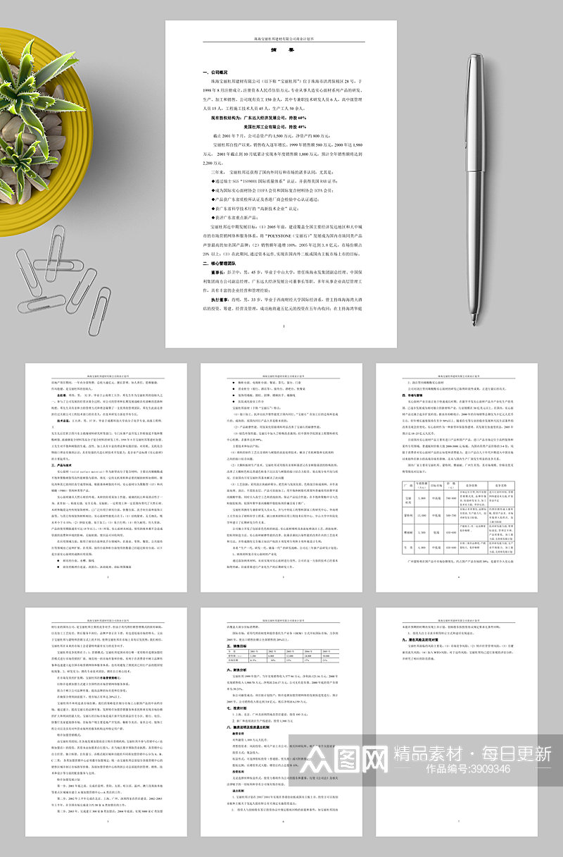 珠海宝丽杜邦建材有限公司商业计划书WORD素材