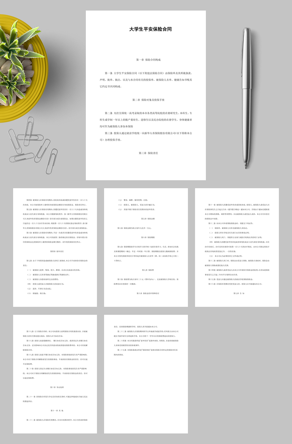 大学生平安保险合同新华人寿WORD素材