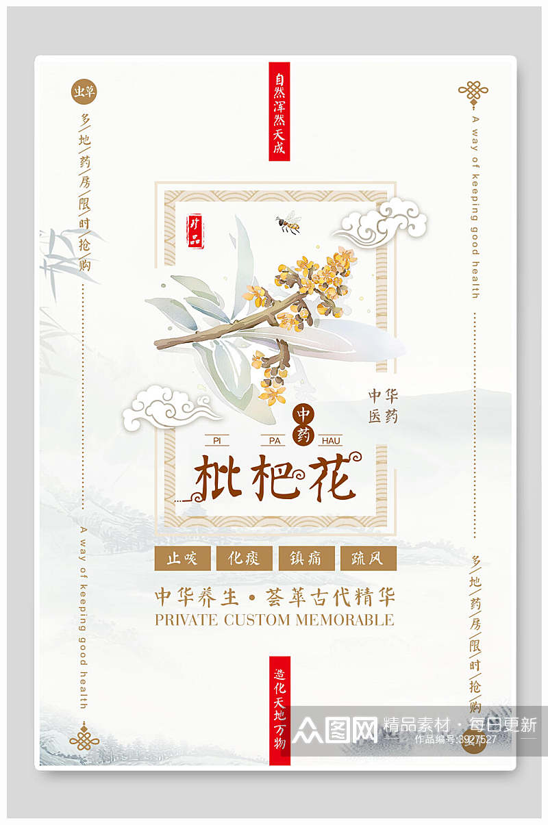 枇杷花中国风海报素材
