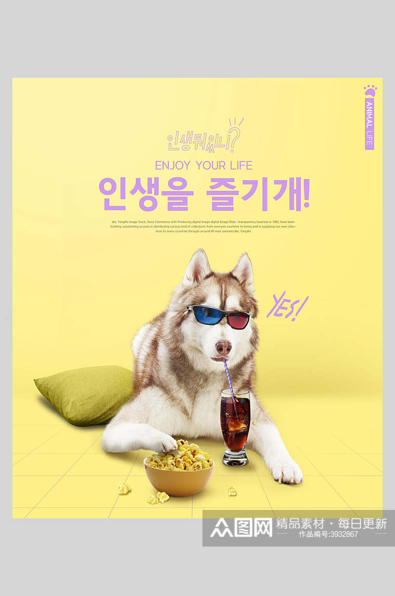 黄色小狗可乐爆米花韩文宠物海报素材