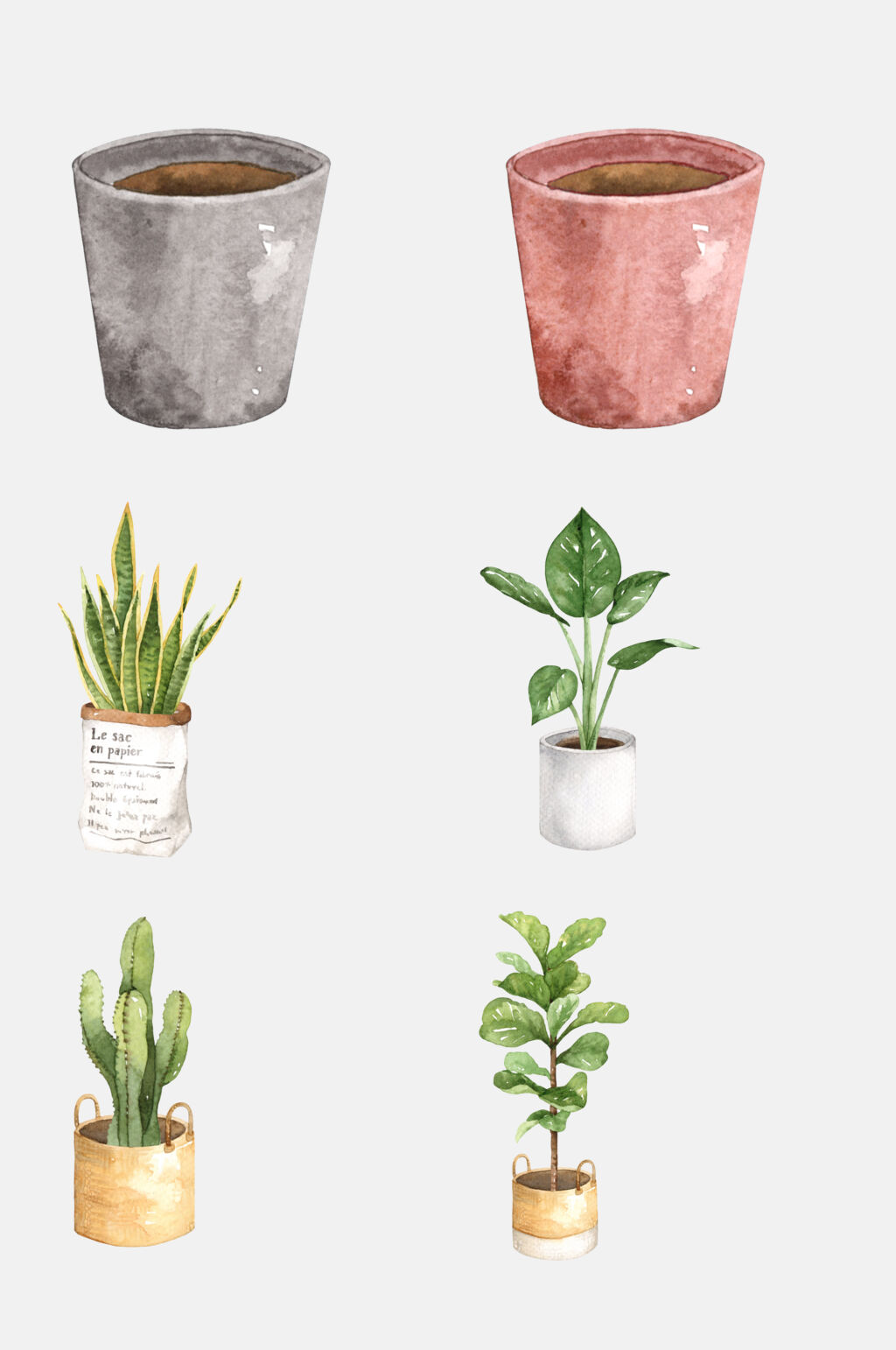 芦荟绿植盆栽免抠素材素材