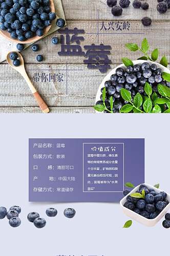 蓝莓水果手机版淘宝详情页