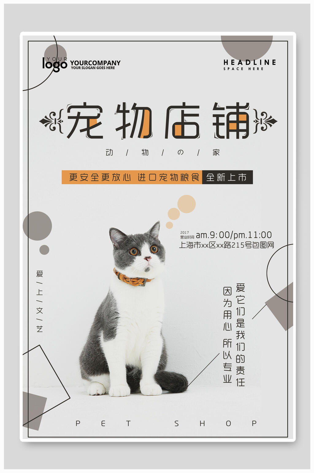 猫咪宠物店海报素材