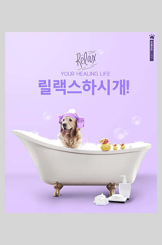 紫色小狗宠物海报