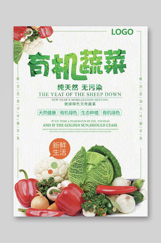 白色背景蔬菜图案有机蔬菜蔬果宣传单