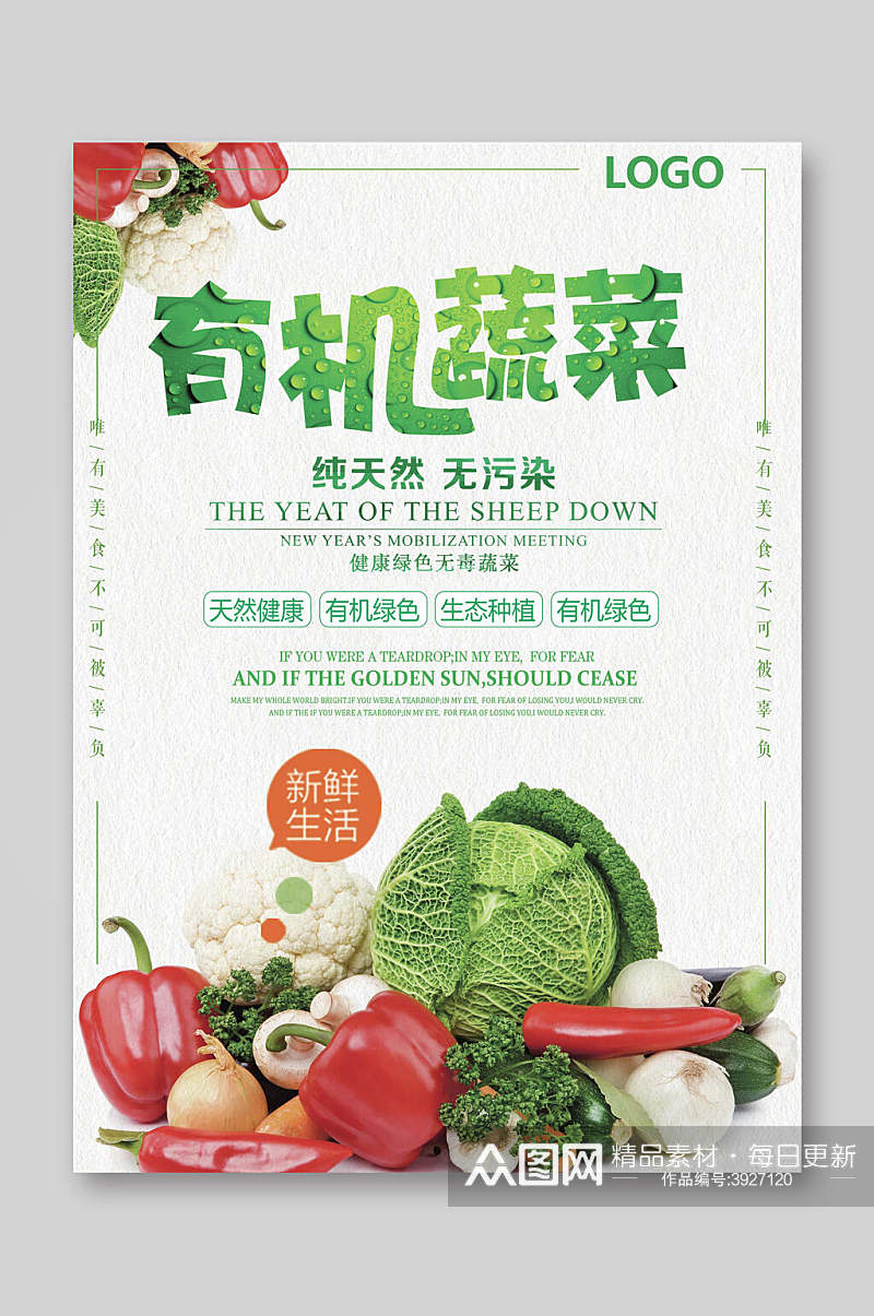 白色背景蔬菜图案有机蔬菜蔬果宣传单素材