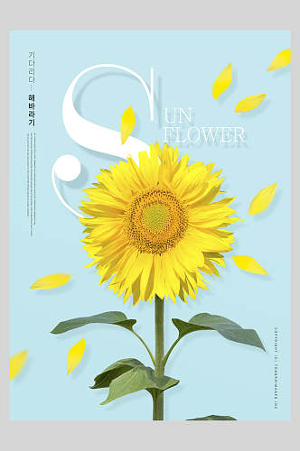 向日葵时尚花卉海报