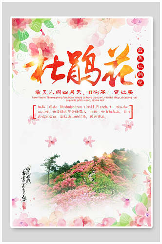 粉色杜鹃花海报