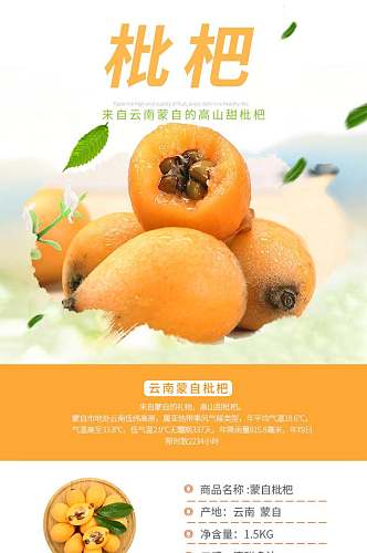 云南枇杷水果手机版详情页