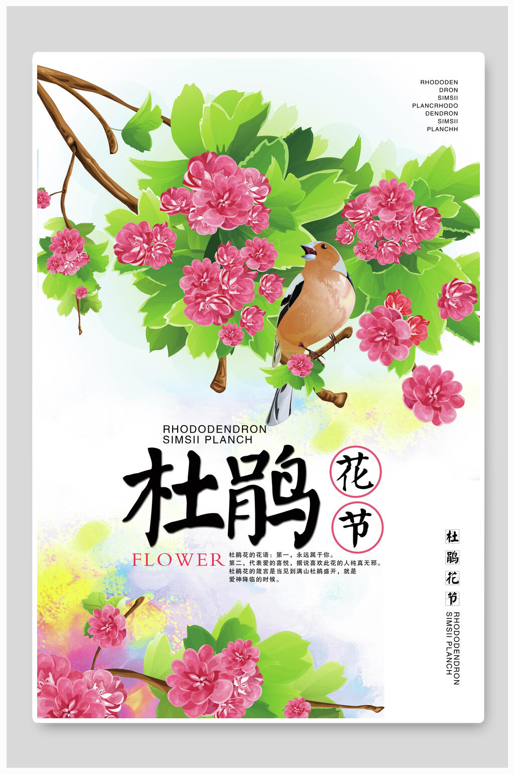 杜鹃花节杜鹃花海报