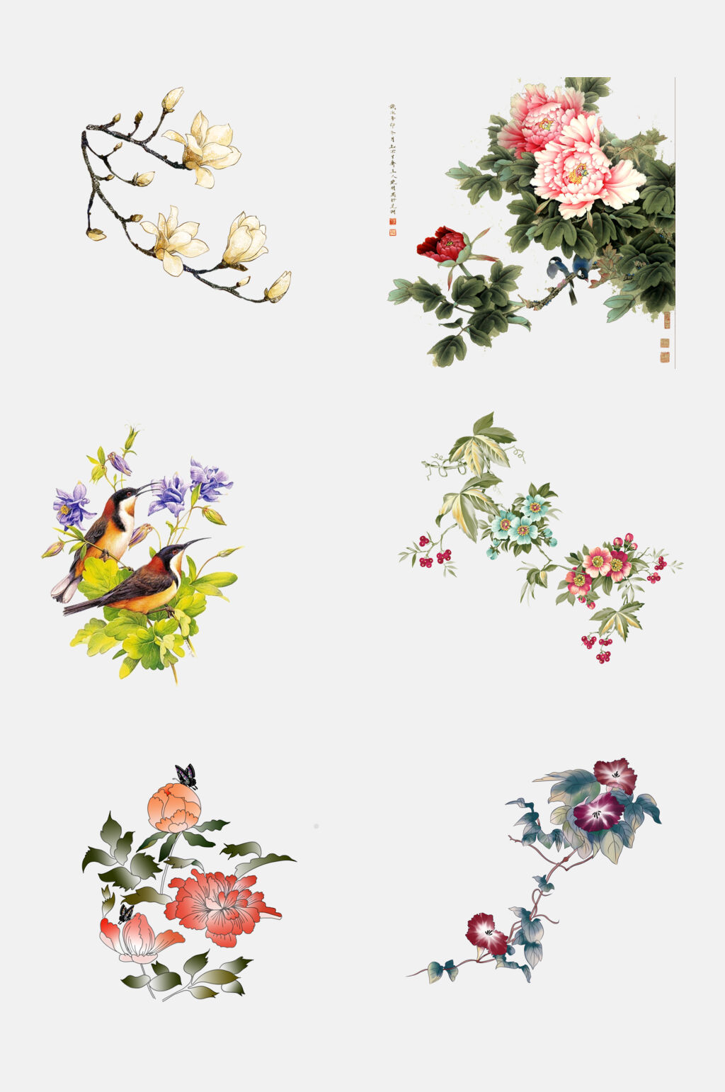 高端中国古风工笔画花卉植物免抠素材素材