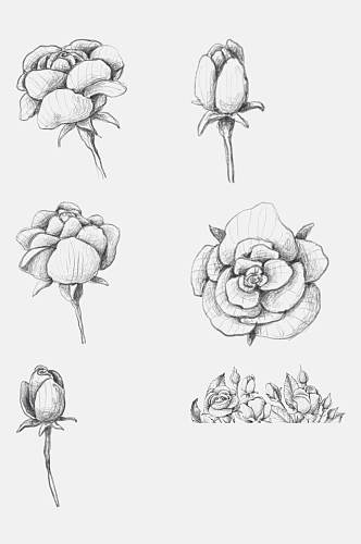创意手绘铅笔素描玫瑰花卉免抠素材