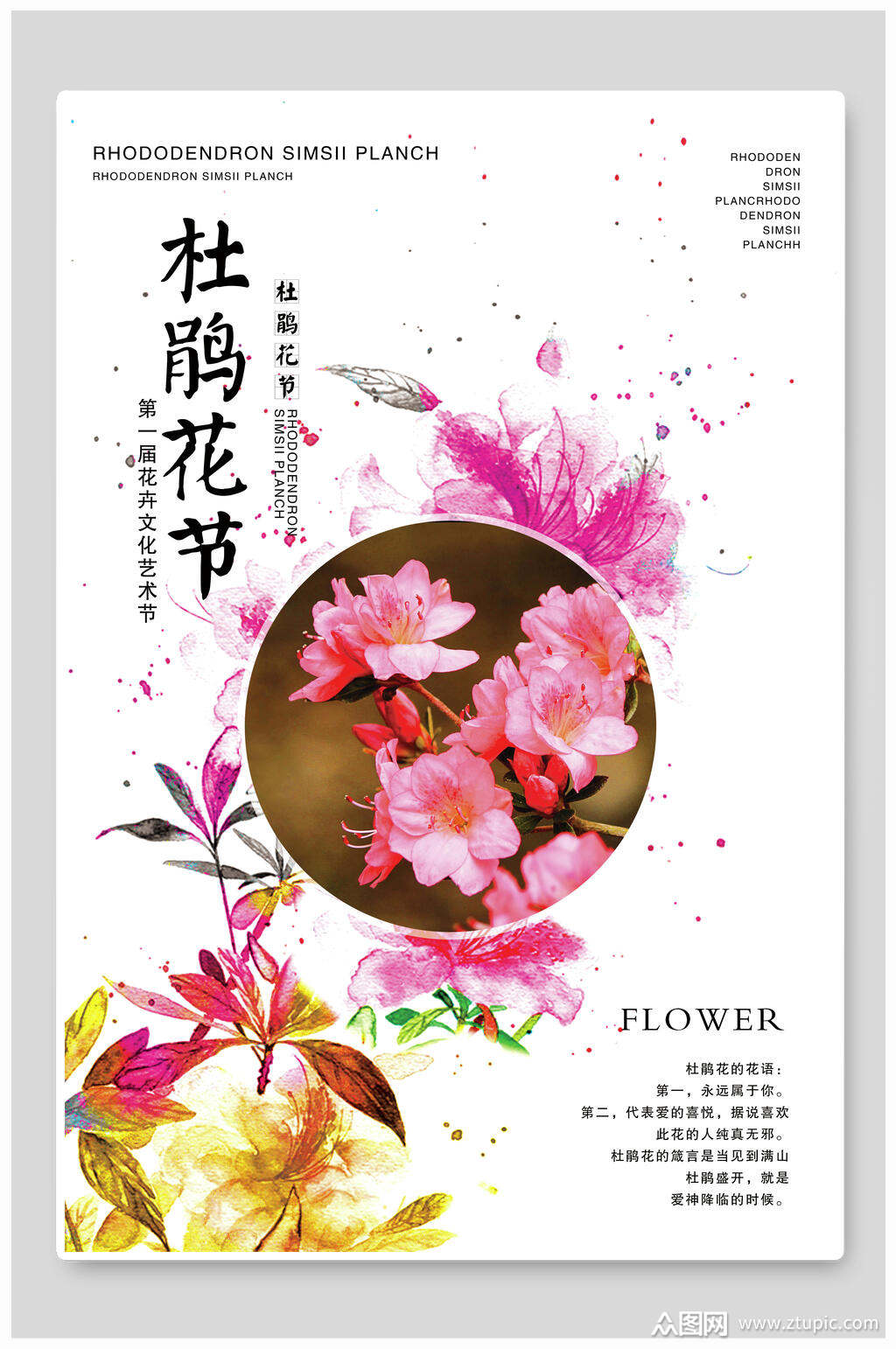 杜鹃花节杜鹃花海报素材