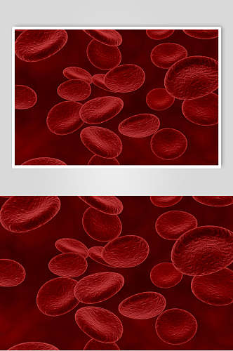 大气时尚红细胞扁圆形医学病毒图片