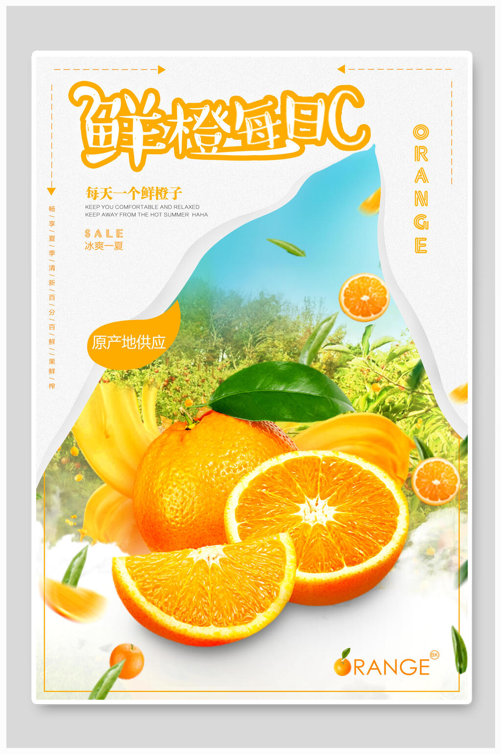 鲜橙每日C水果海报素材