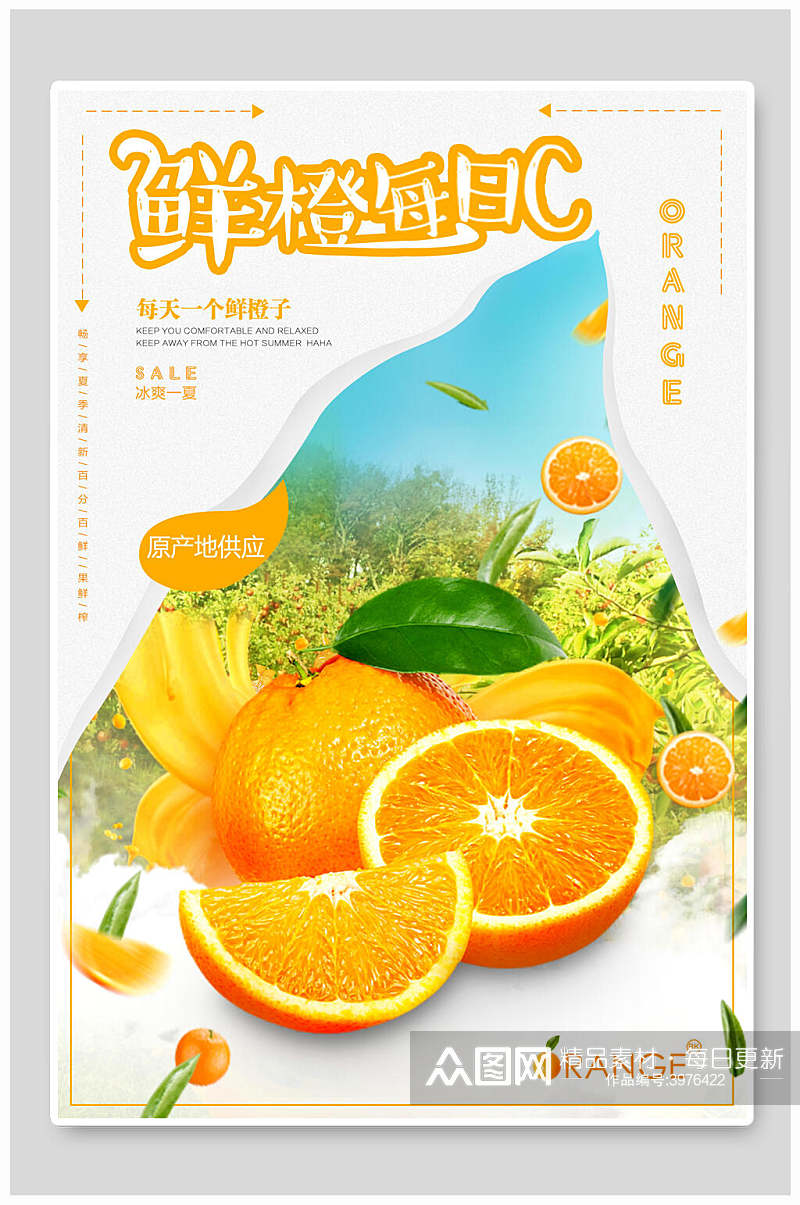 鲜橙每日C水果海报素材