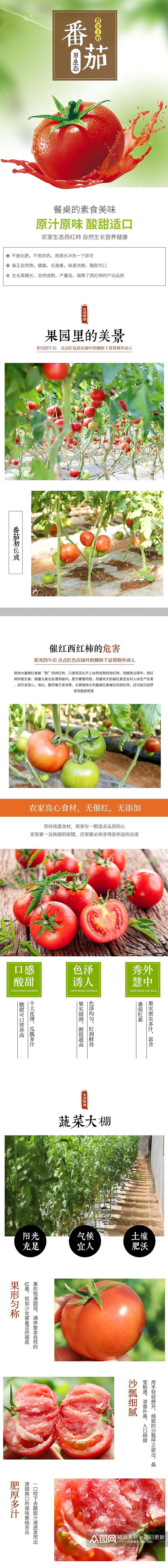 番茄西红柿水果手机版详情页素材