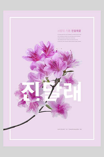 杜鹃花时尚花卉海报