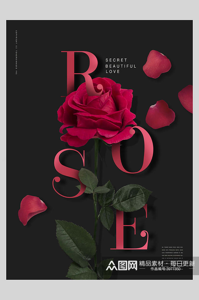 玫瑰花时尚花卉海报素材