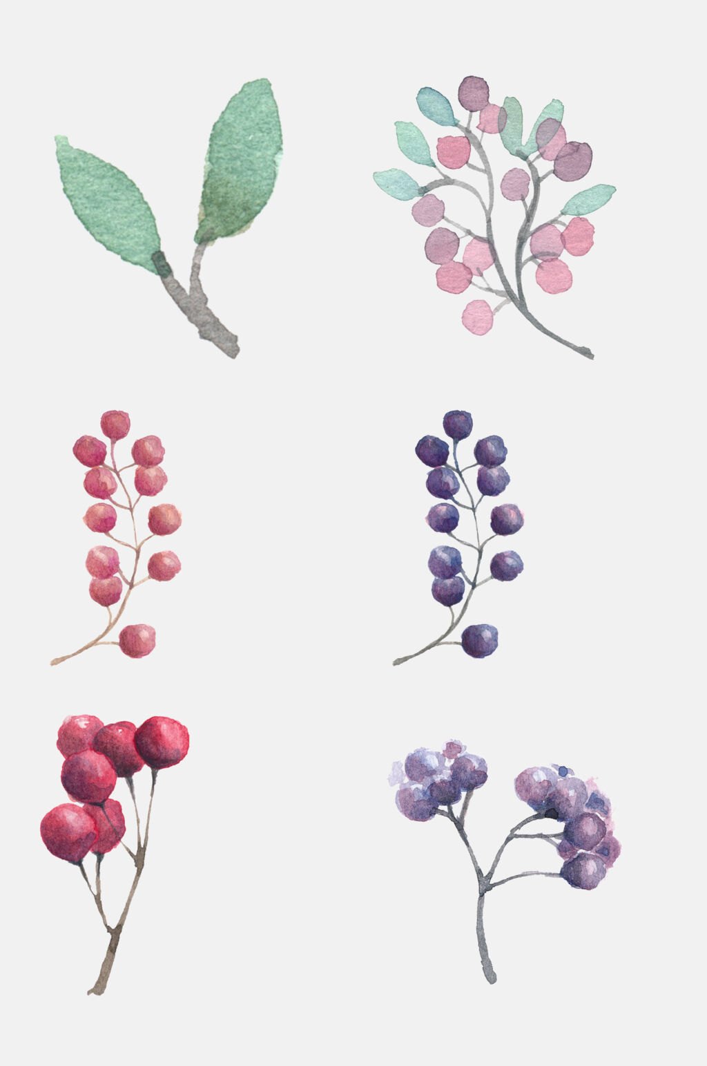 植物森系水彩手绘花卉免抠素材素材