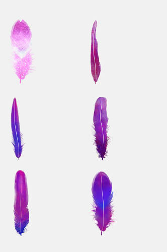 蓝紫色渐变羽毛免抠素材