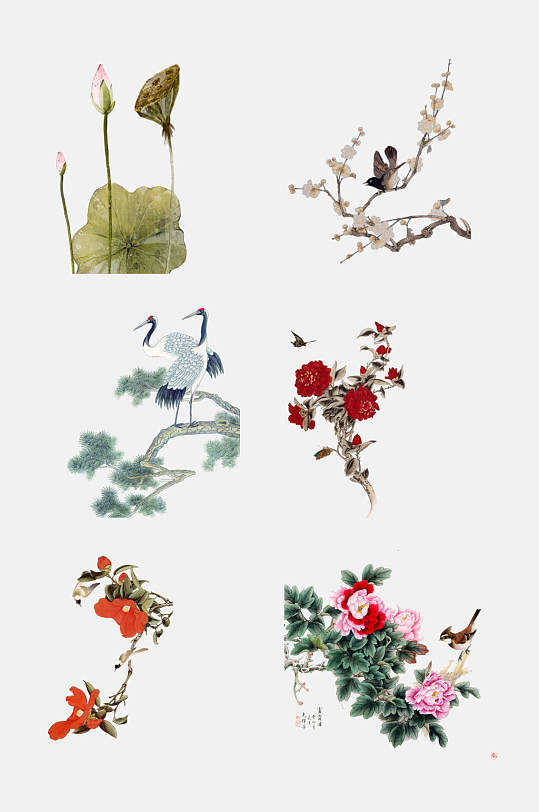 高端大氣中國古風工筆畫花卉植物免摳素材