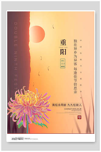 盛开金菊太阳升起传统重阳节海报