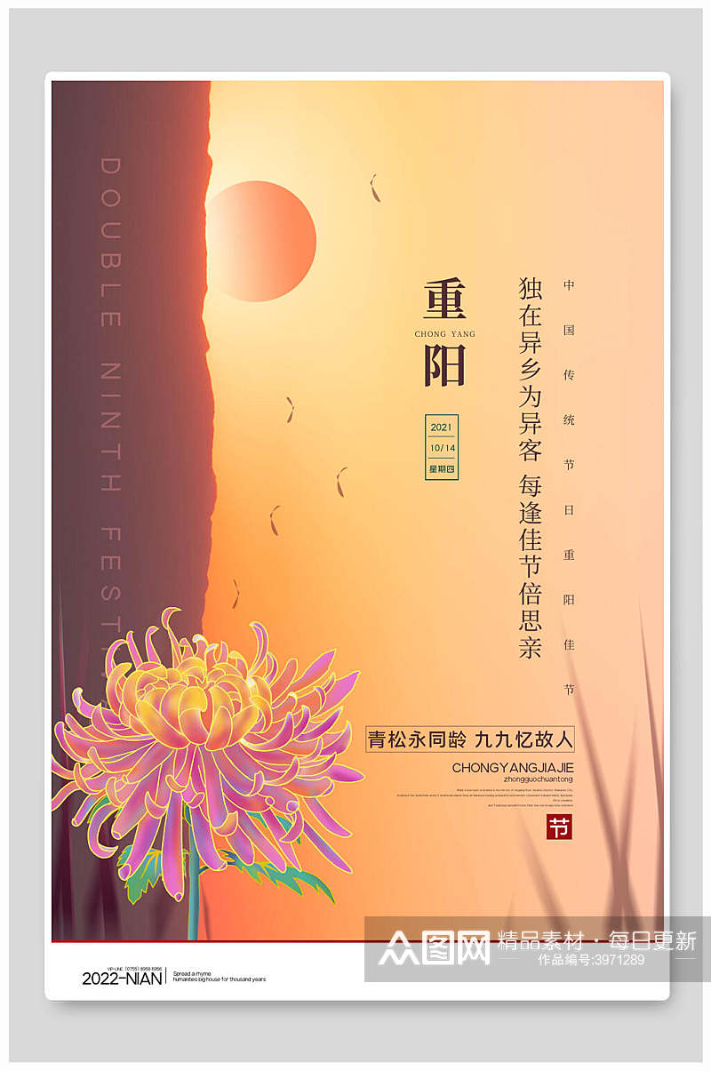 盛开金菊太阳升起传统重阳节海报素材