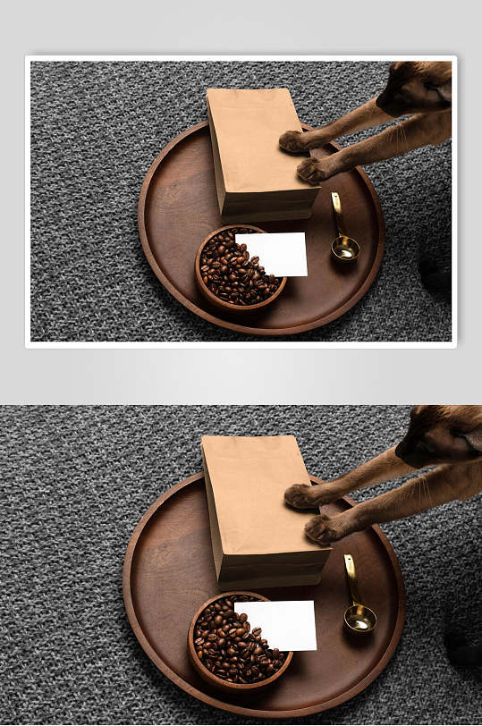 创意地毯狗狗咖啡品牌样机