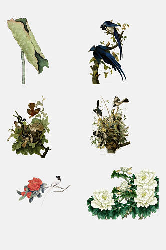水墨中国古风工笔画花卉植物免抠素材