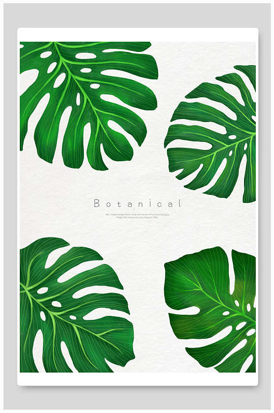 绿色简约素雅大气创意清新绿植背景