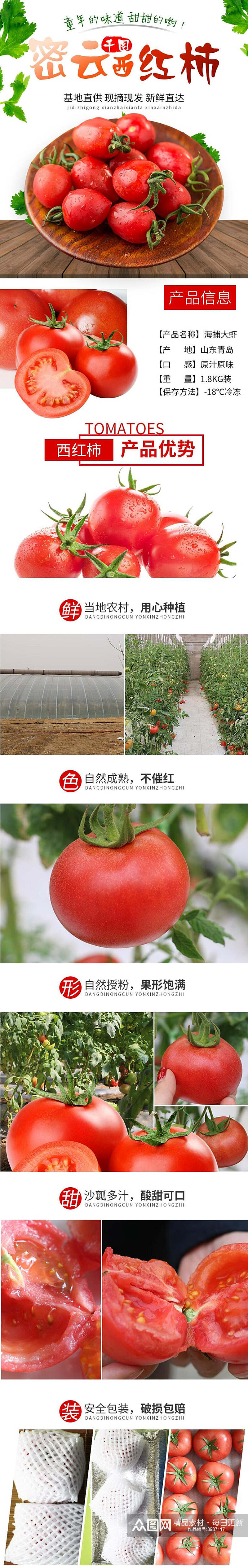 密云西红柿水果手机版详情页素材