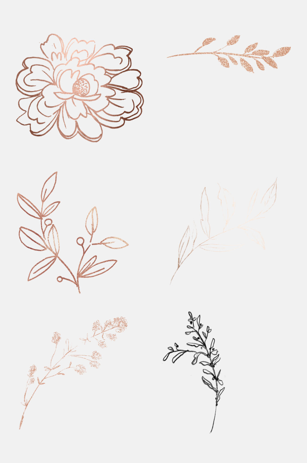 手绘花朵植物线稿免抠素材素材