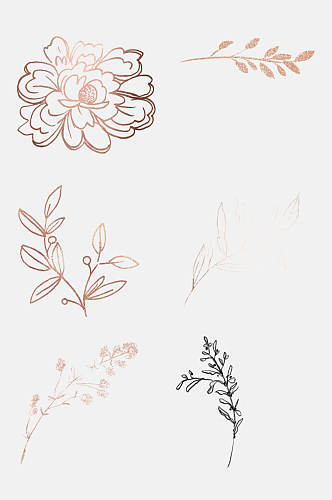 手绘花朵植物线稿免抠素材