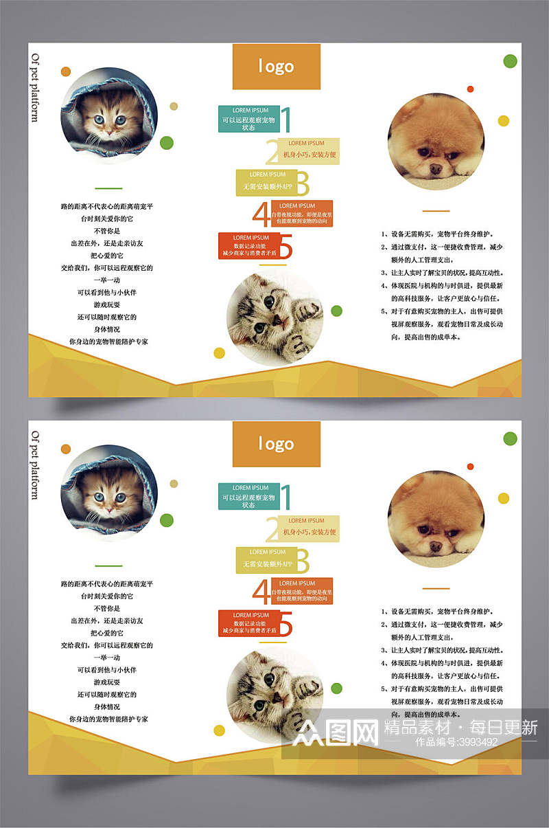 简约通用猫狗驯养知识科普黄三折页素材