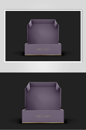 打开黑紫大气创意简约风饰品盒样机