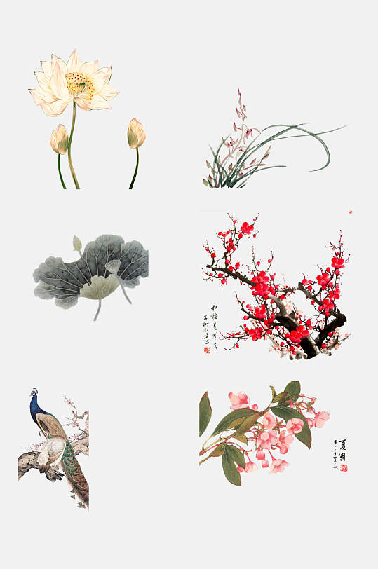 水墨中国古风工笔画花卉植物免抠素材