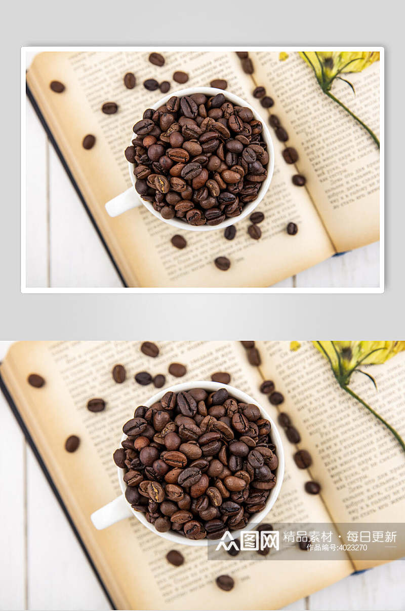 书本花朵咖啡豆茶杯高端棕咖啡图片素材