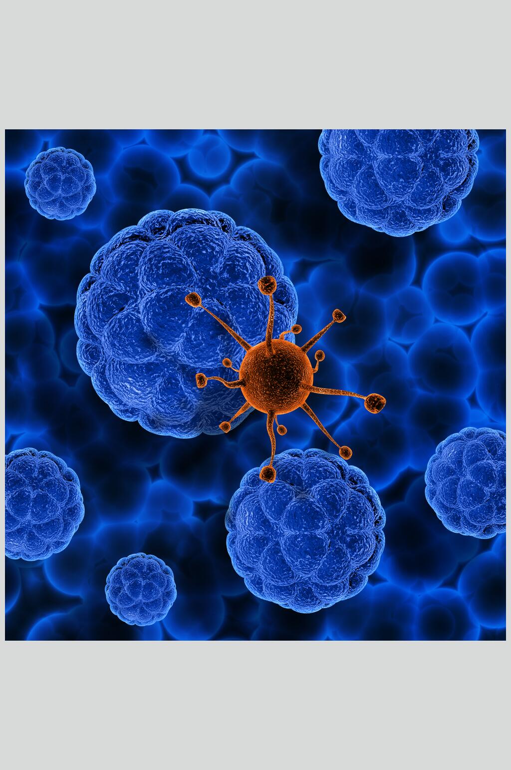 球状病毒图片