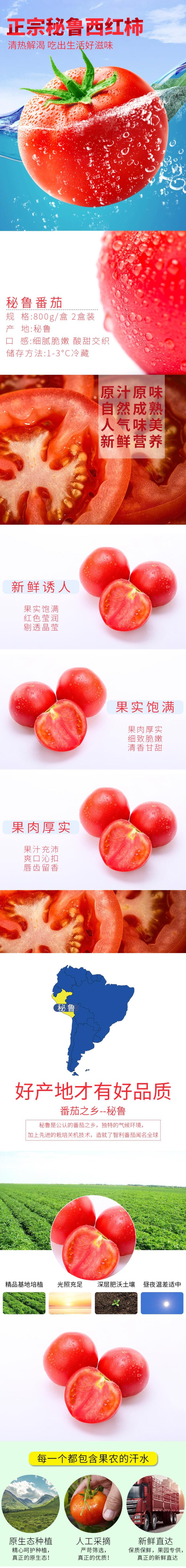 正宗秘鲁西红柿水果手机版详情页素材