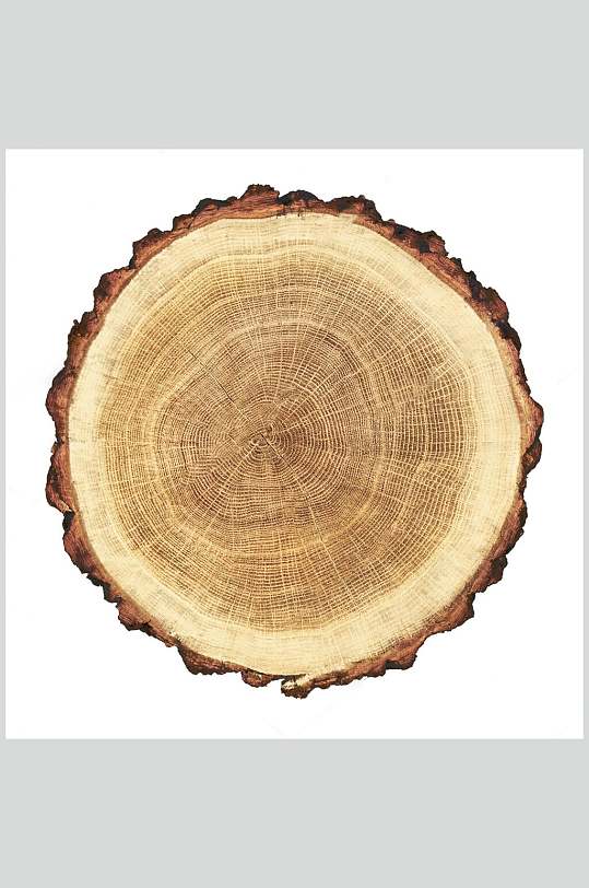 简约大气树皮圆木桩木纹面图片