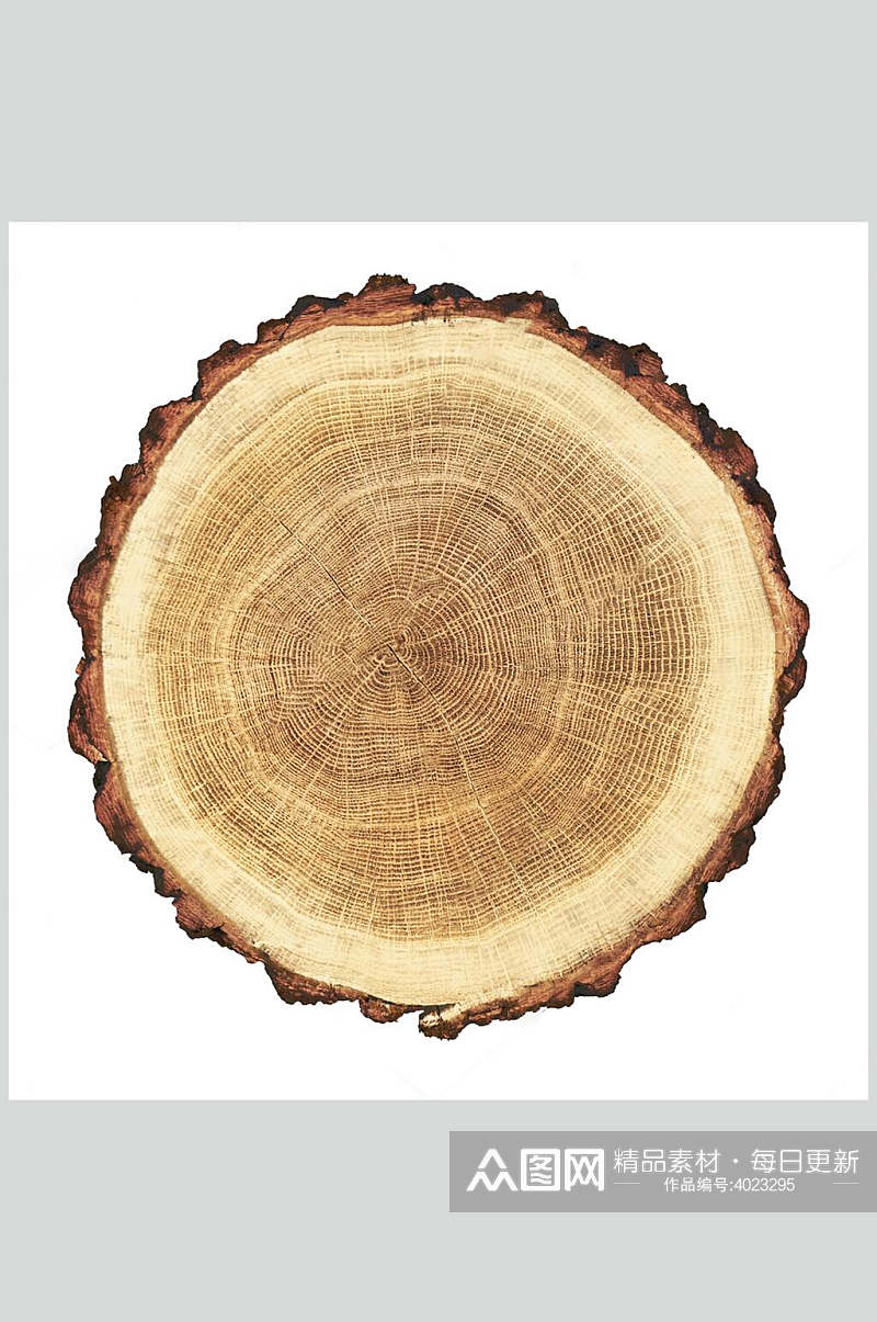 简约大气树皮圆木桩木纹面图片素材