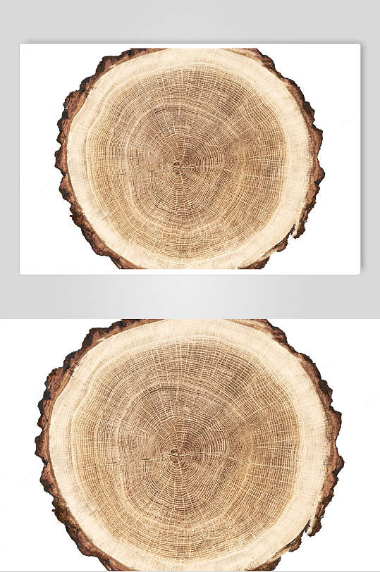 创意时尚实心树皮圆木桩木纹面图片