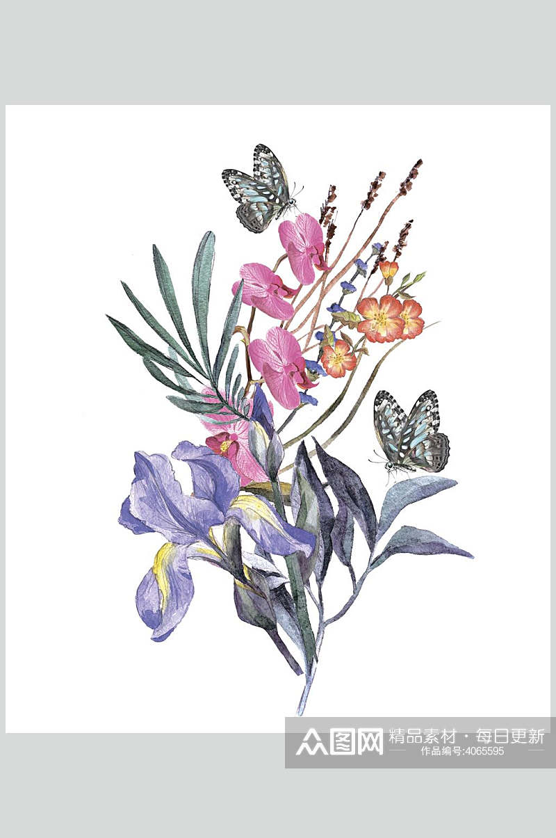 花卉手绘水彩动物植插画素材素材