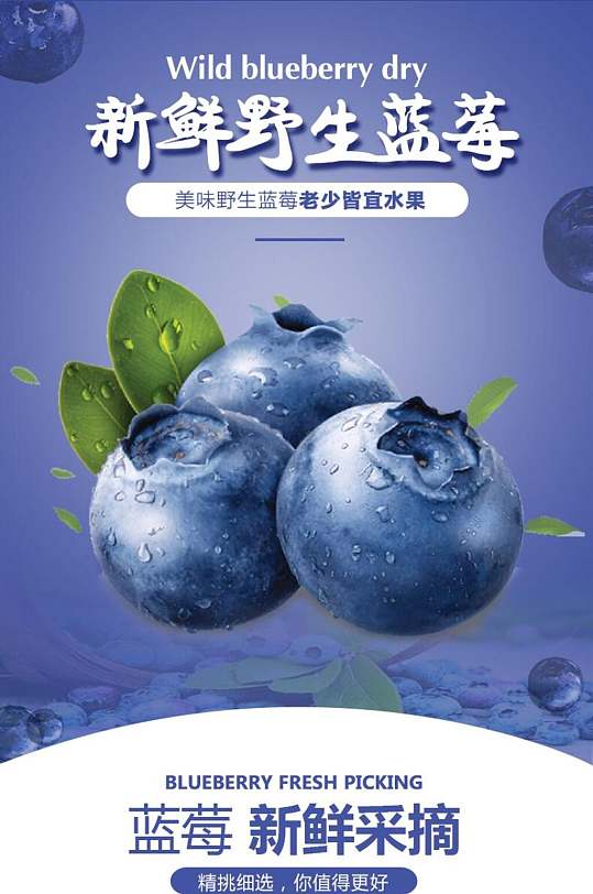 新鲜野生蓝莓水果电商详情页